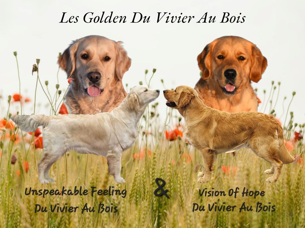 Du Vivier Au Bois - Nos 1er 100% Du Vivier Au Bois 